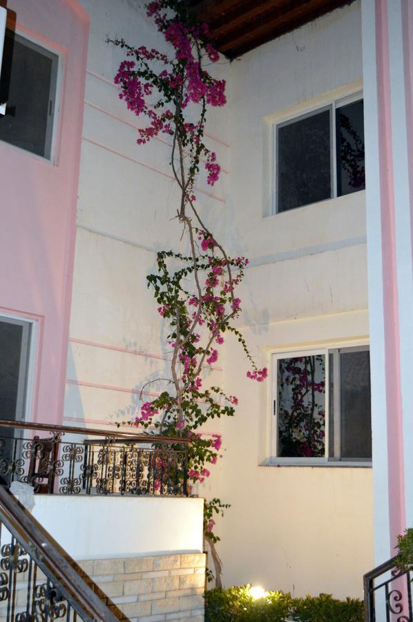 4S Hotel Dahab Bagian luar foto